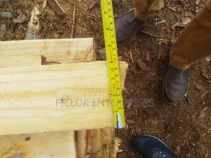 Eucalyptus Timber for Construction | Eucalyptus Wood | Bulk Timber