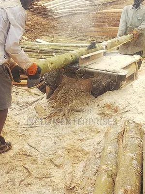 Eucalyptus Timber for Construction | Eucalyptus Wood | Bulk Timber