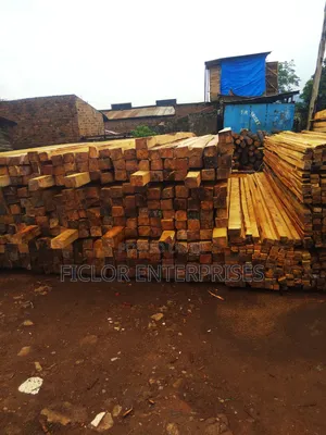 Eucalyptus Timber | Eucalyptus Poles | Timber Supplier