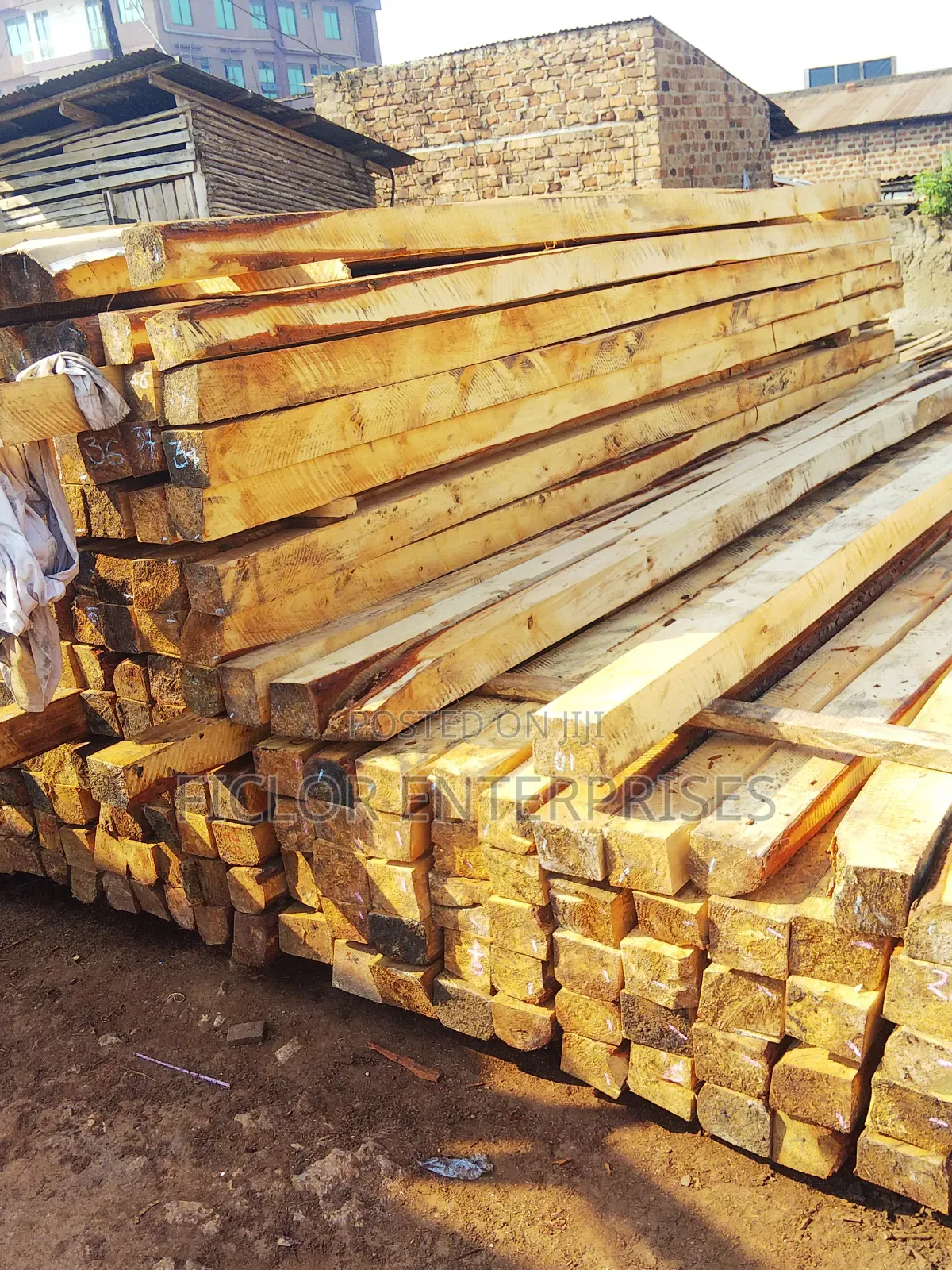 Eucalyptus Timber | Eucalyptus Poles | Timber Supplier