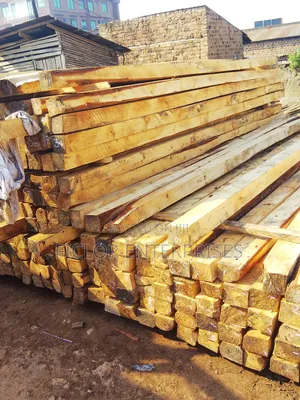 Eucalyptus Timber | Eucalyptus Poles | Timber Supplier