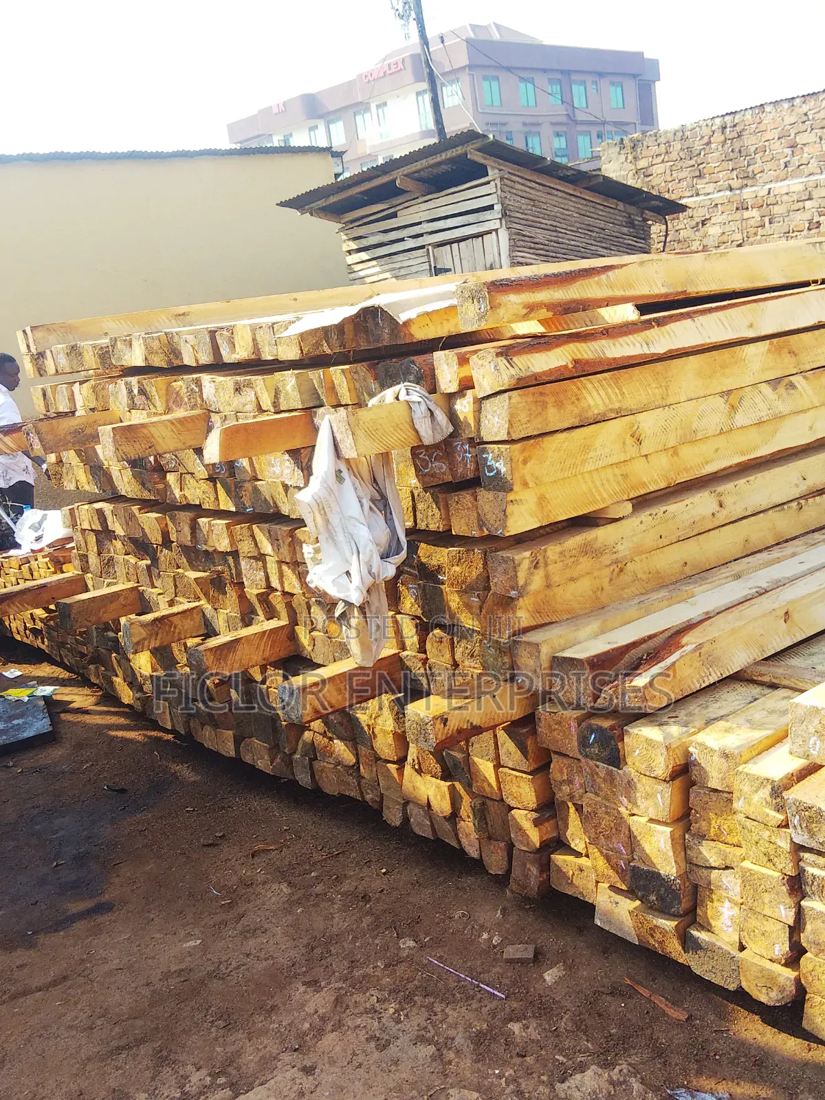 Eucalyptus Timber | Eucalyptus Poles | Timber Supplier