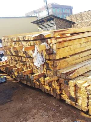 Eucalyptus Timber | Eucalyptus Poles | Timber Supplier