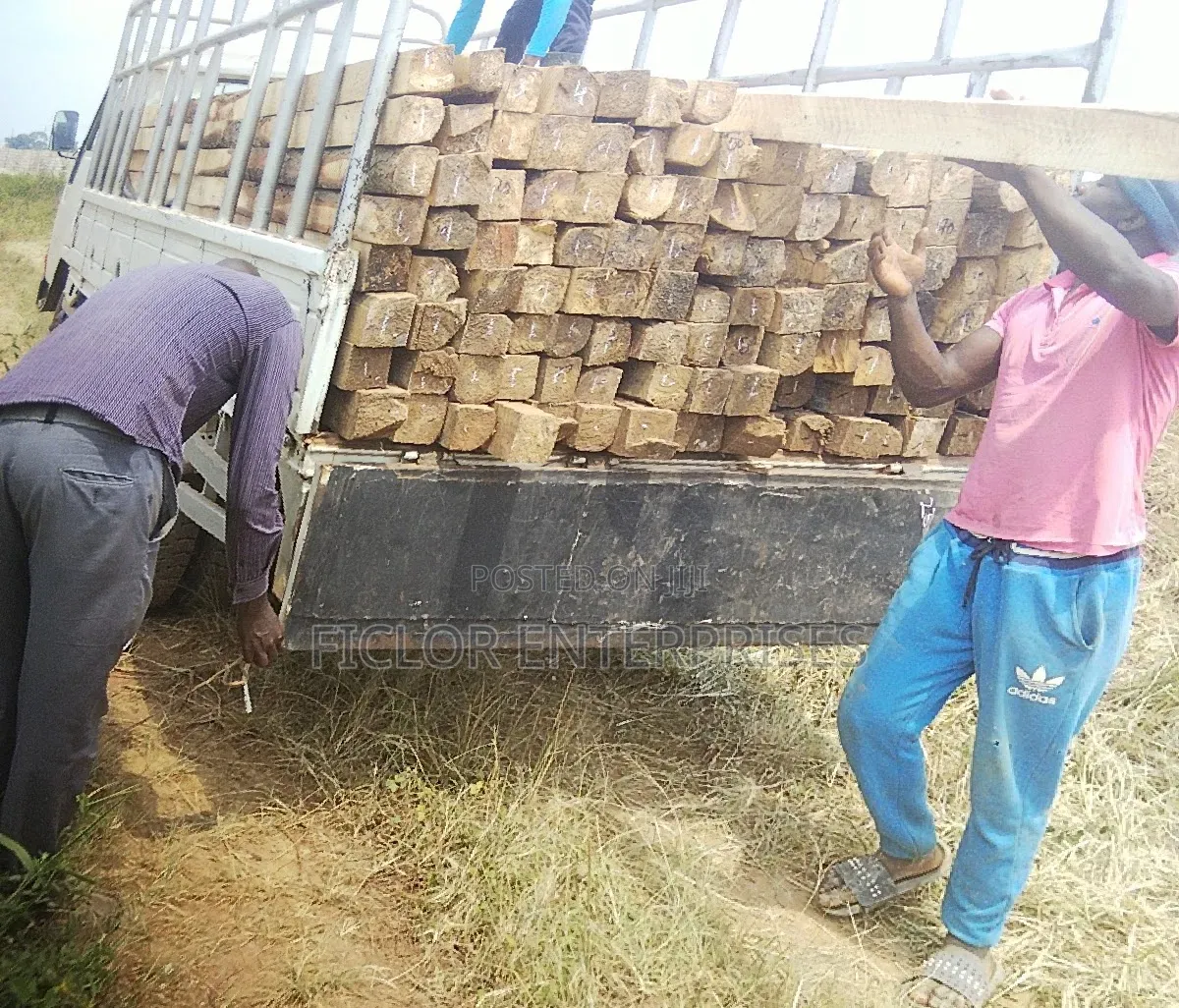 Eucalyptus Poles | Building Poles | Fencing Poles