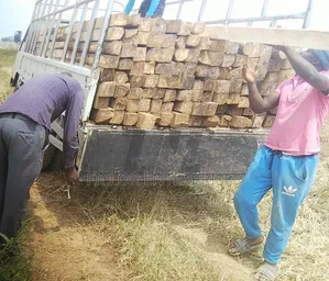 Eucalyptus Poles | Building Poles | Fencing Poles