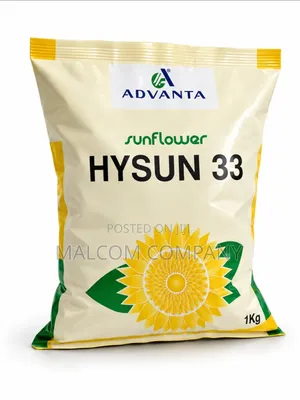 Advanta HYSUN 33 Hybrid Sunflower Seeds – High Yield Seeds Uganda