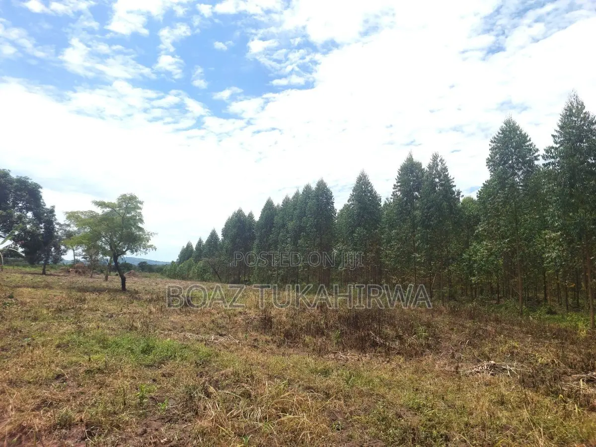 Agricultural Land for Sale in Lukasa Village, Nakaseke , 118 Acres
