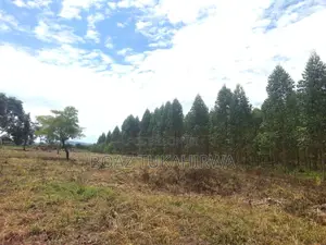 Agricultural Land for Sale in Lukasa Village, Nakaseke , 118 Acres