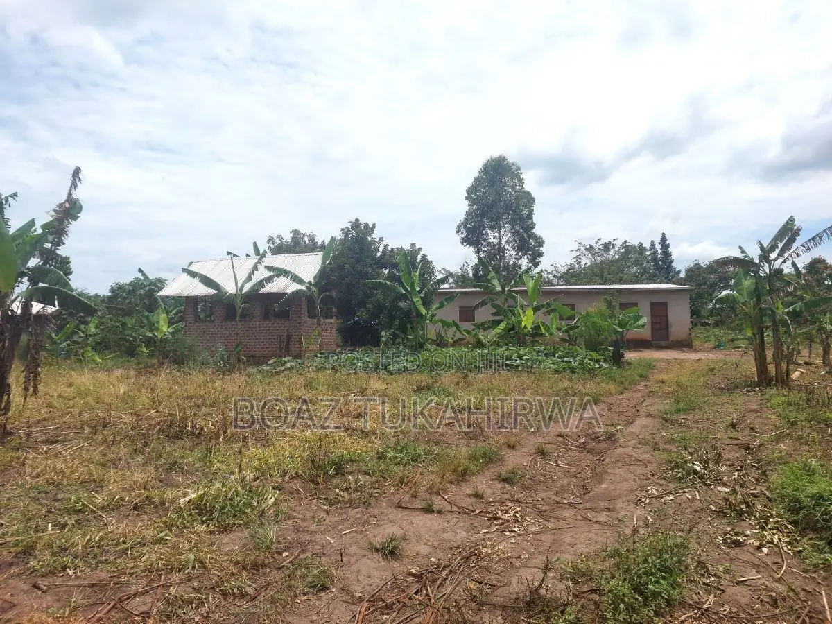Agricultural Land for Sale in Lukasa Village, Nakaseke , 118 Acres