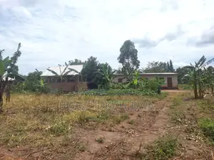 Agricultural Land for Sale in Lukasa Village, Nakaseke , 118 Acres