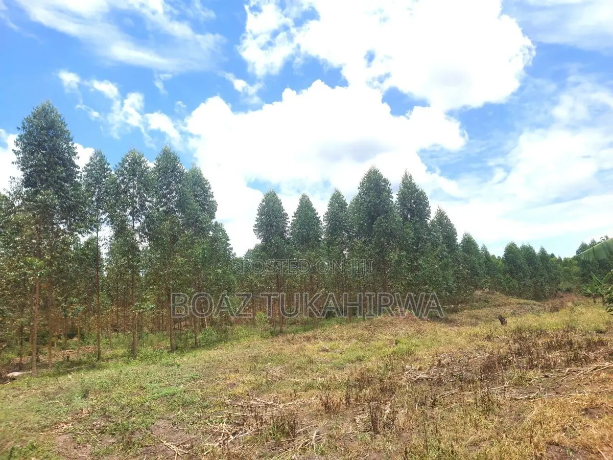 Agricultural Land for Sale in Lukasa Village, Nakaseke , 118 Acres