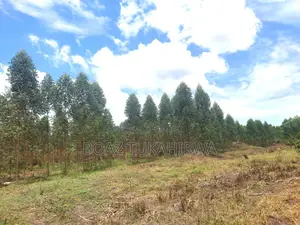 Agricultural Land for Sale in Lukasa Village, Nakaseke , 118 Acres
