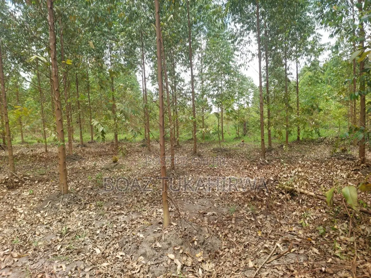 Agricultural Land for Sale in Lukasa Village, Nakaseke , 118 Acres