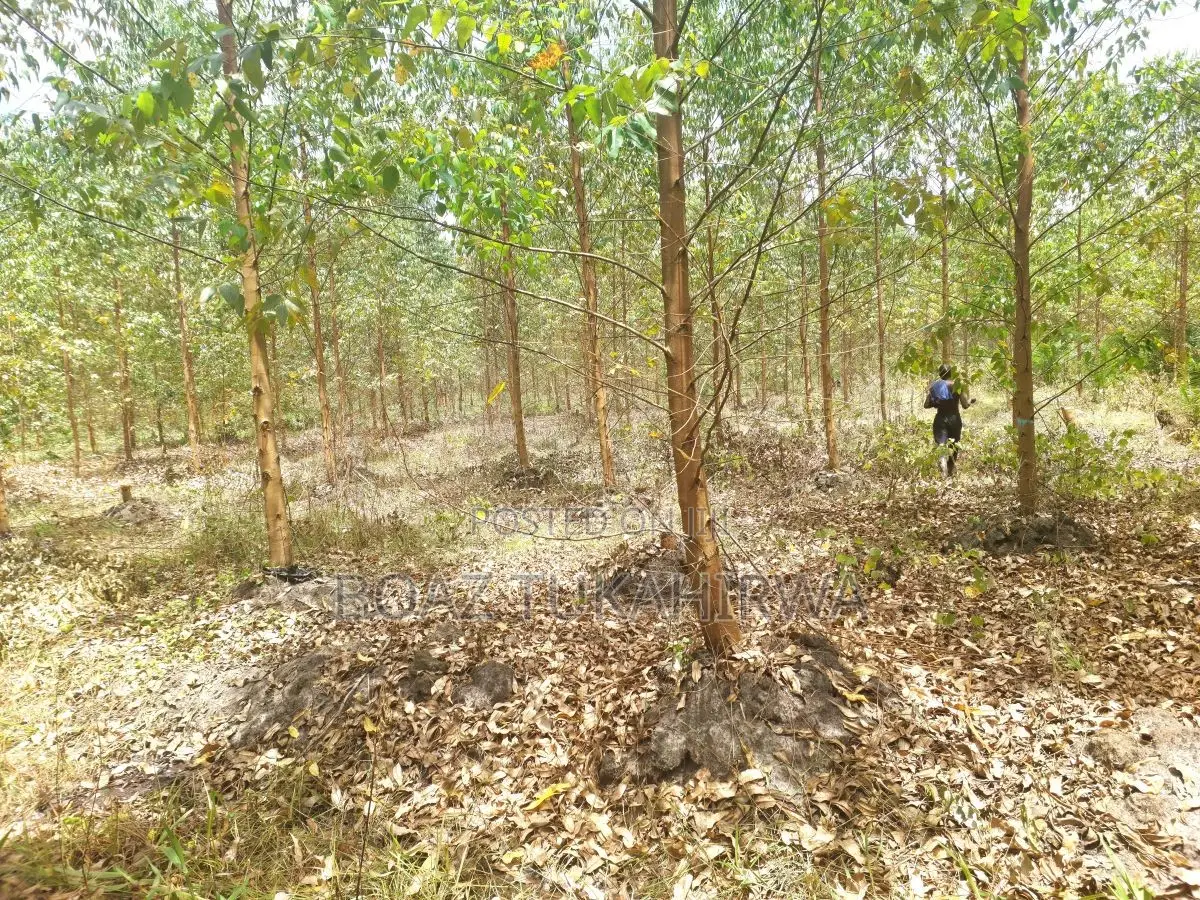 Agricultural Land for Sale in Lukasa Village, Nakaseke , 118 Acres
