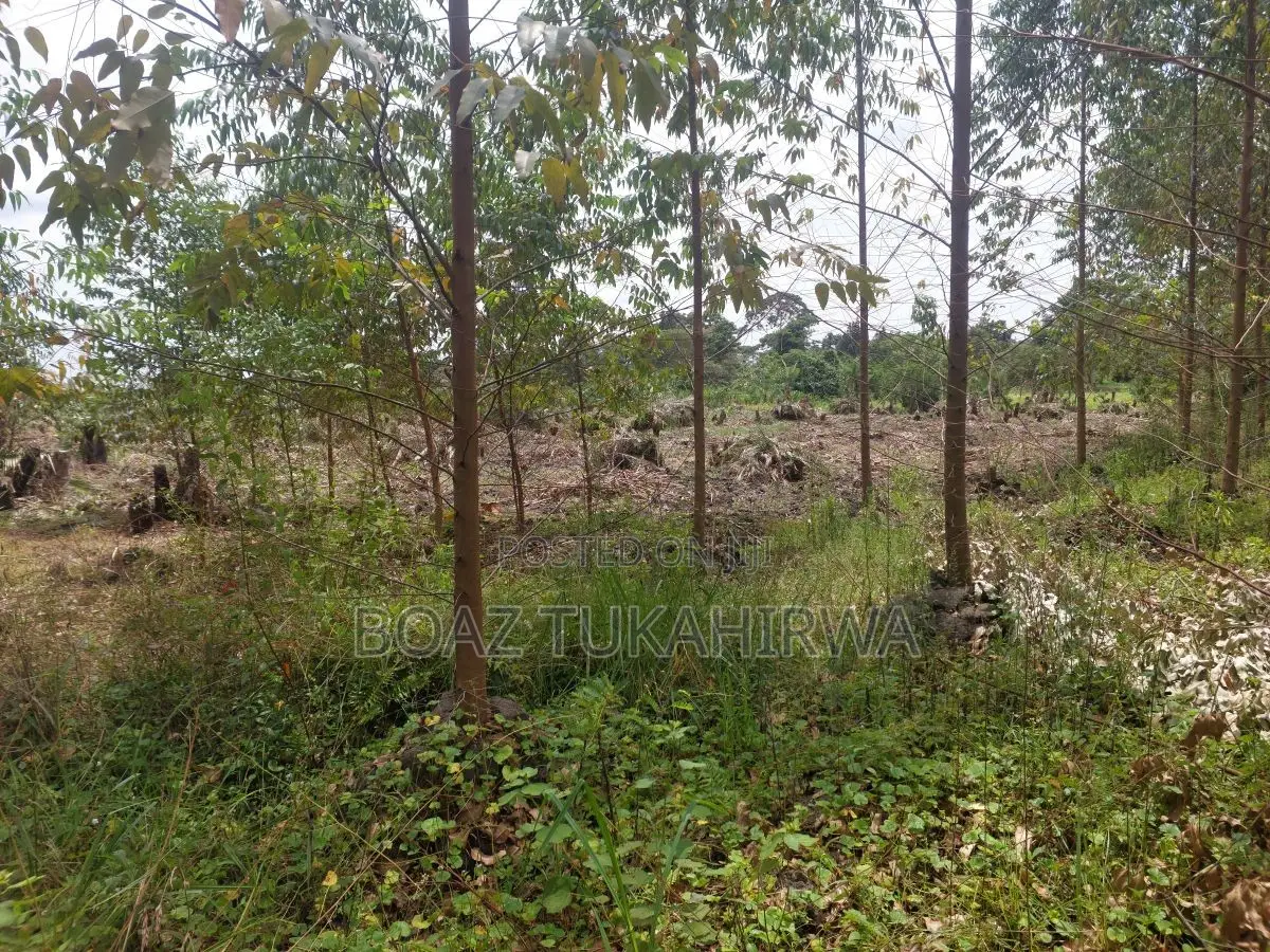 Agricultural Land for Sale in Lukasa Village, Nakaseke , 118 Acres
