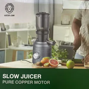 Green Lion Slow Juicer With Pure Copper Motor