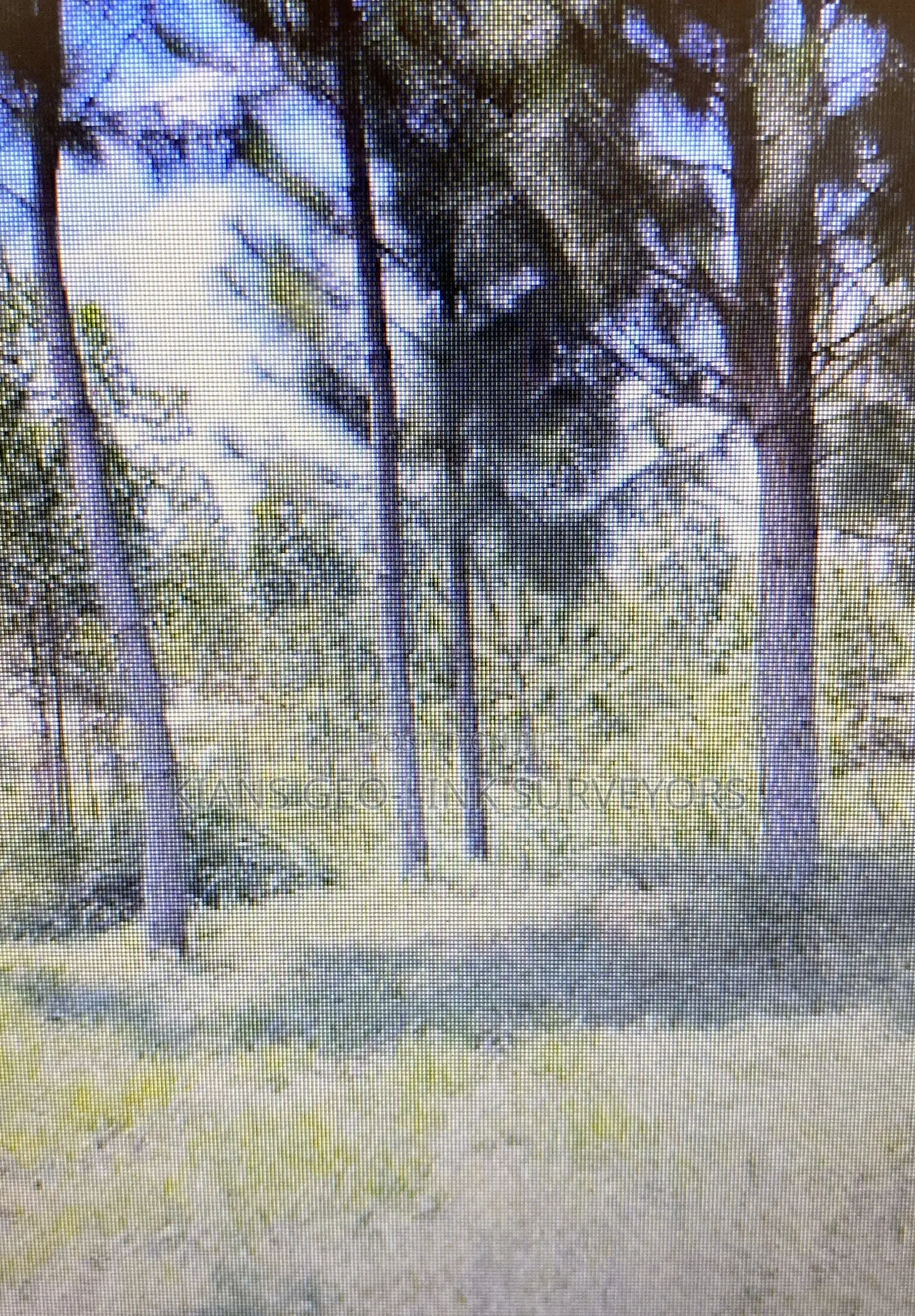 Land on Sale