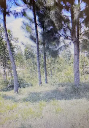 Land on Sale