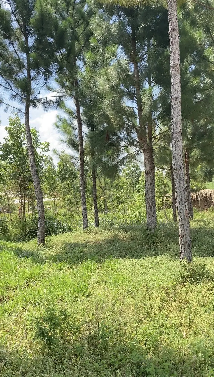 Land on Sale