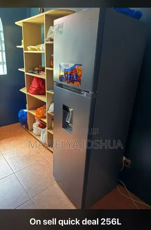 CHIQ 251liters