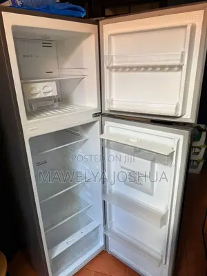 CHIQ 251liters