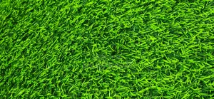 Garden Grass Carpets
