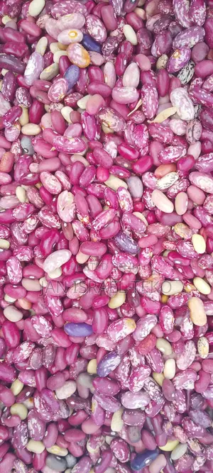 Jan Israel Beans Namalu Trading Centre