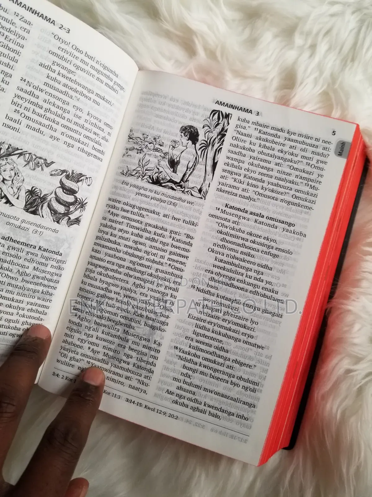 Bible - Lusoga Bible