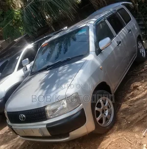 Toyota Probox 2007 Silver