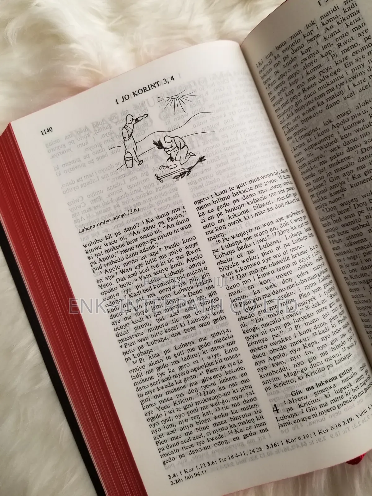 Bible - Acholi Bible