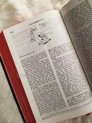 Bible - Acholi Bible