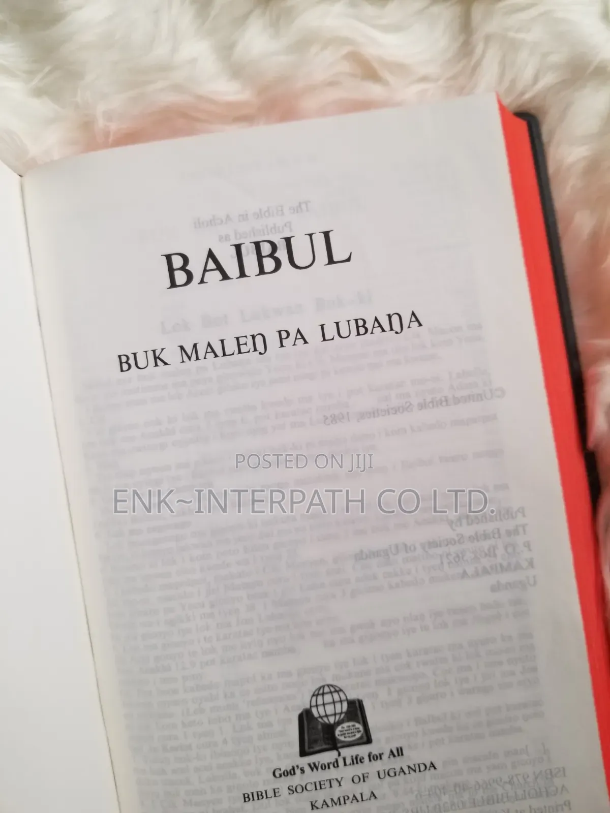 Bible - Acholi Bible