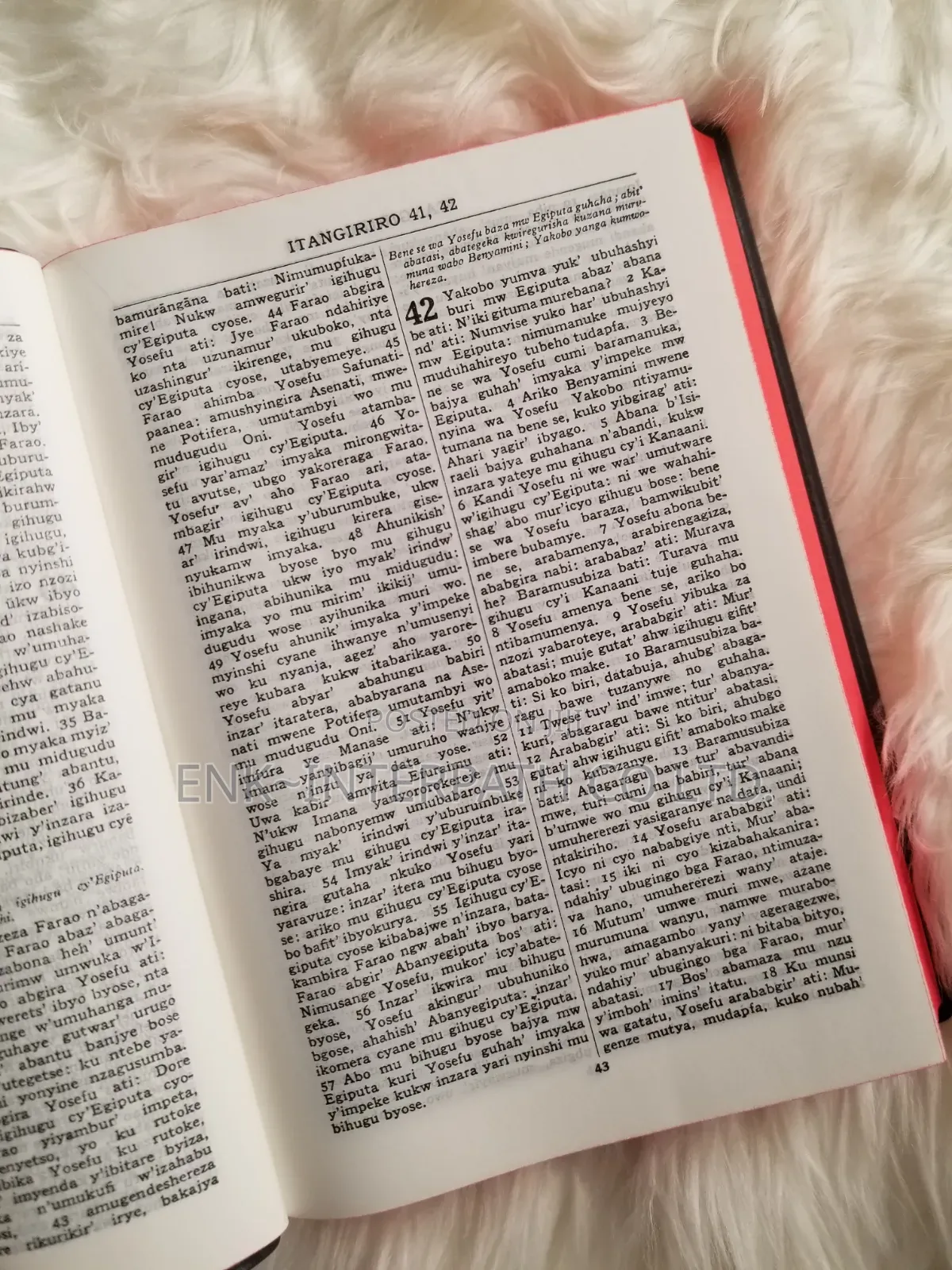 Bible - Kinyarwanda Bible