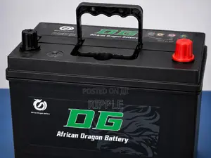 60Ah DG African Dragon N65 Maintenance Free Car Battery 12V