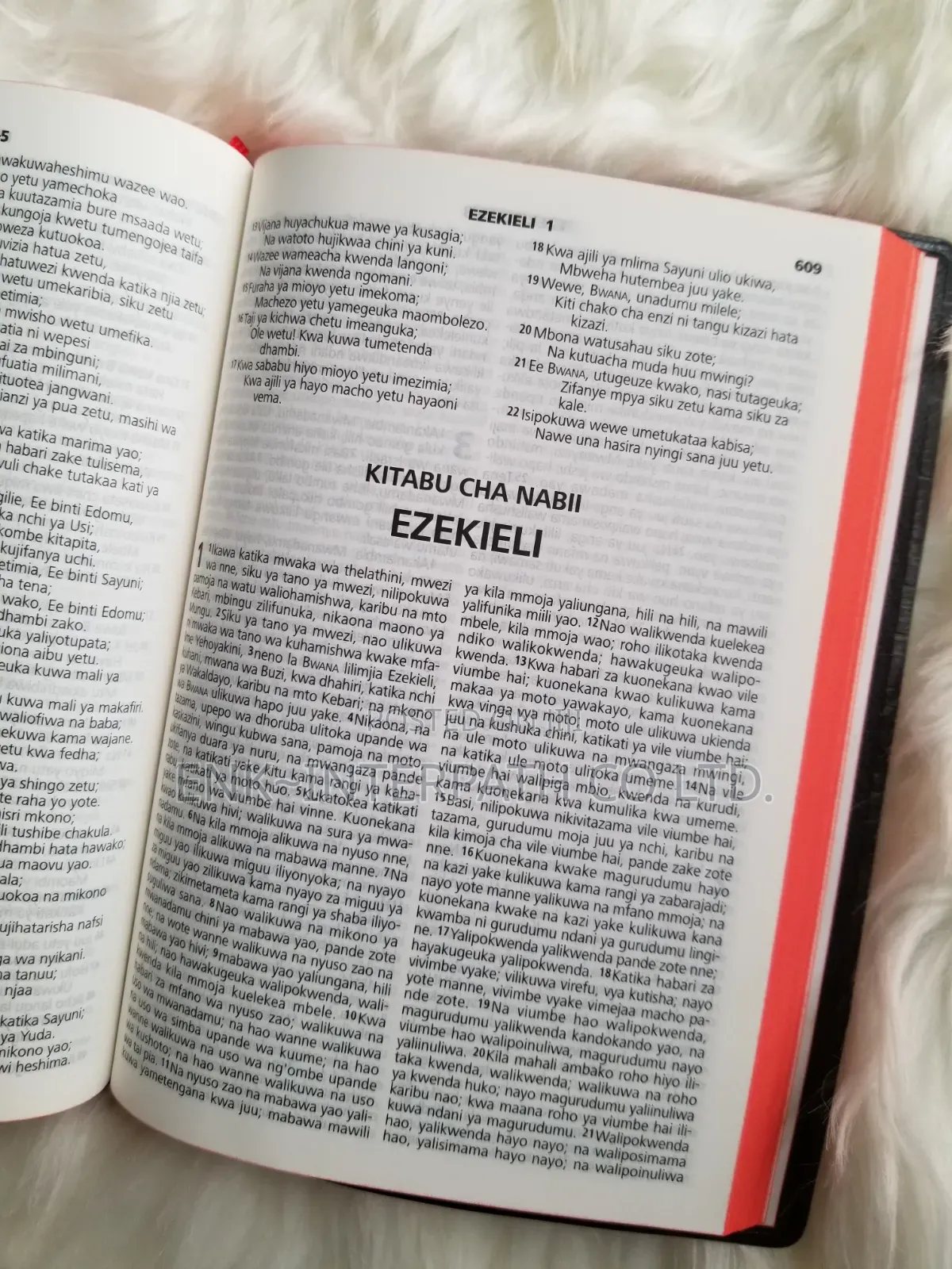 Bibles - Swahili Bible