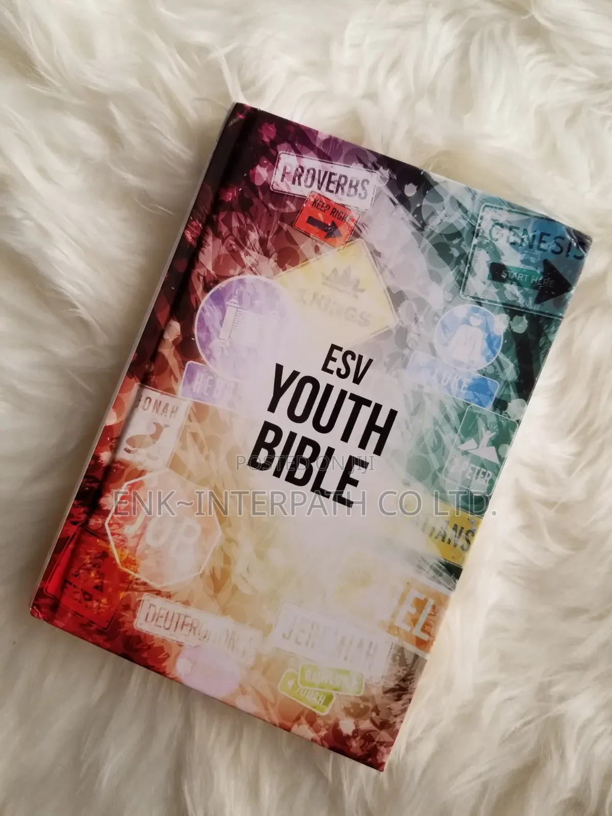 Bible - ESV Youth Bible