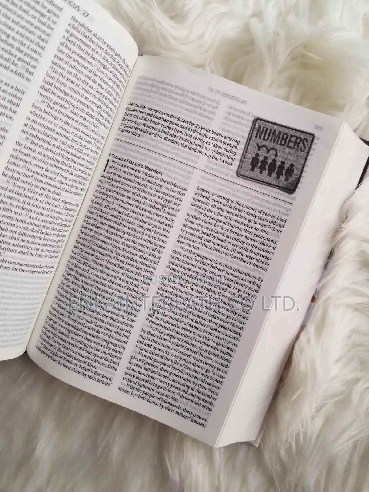 Bible - ESV Youth Bible