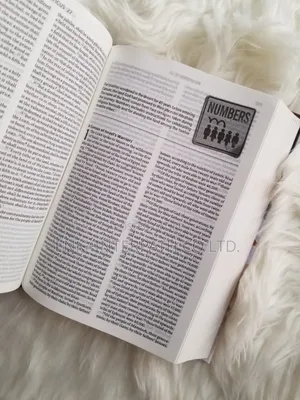 Bible - ESV Youth Bible