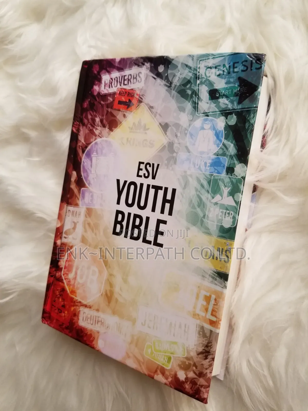 Bible - ESV Youth Bible