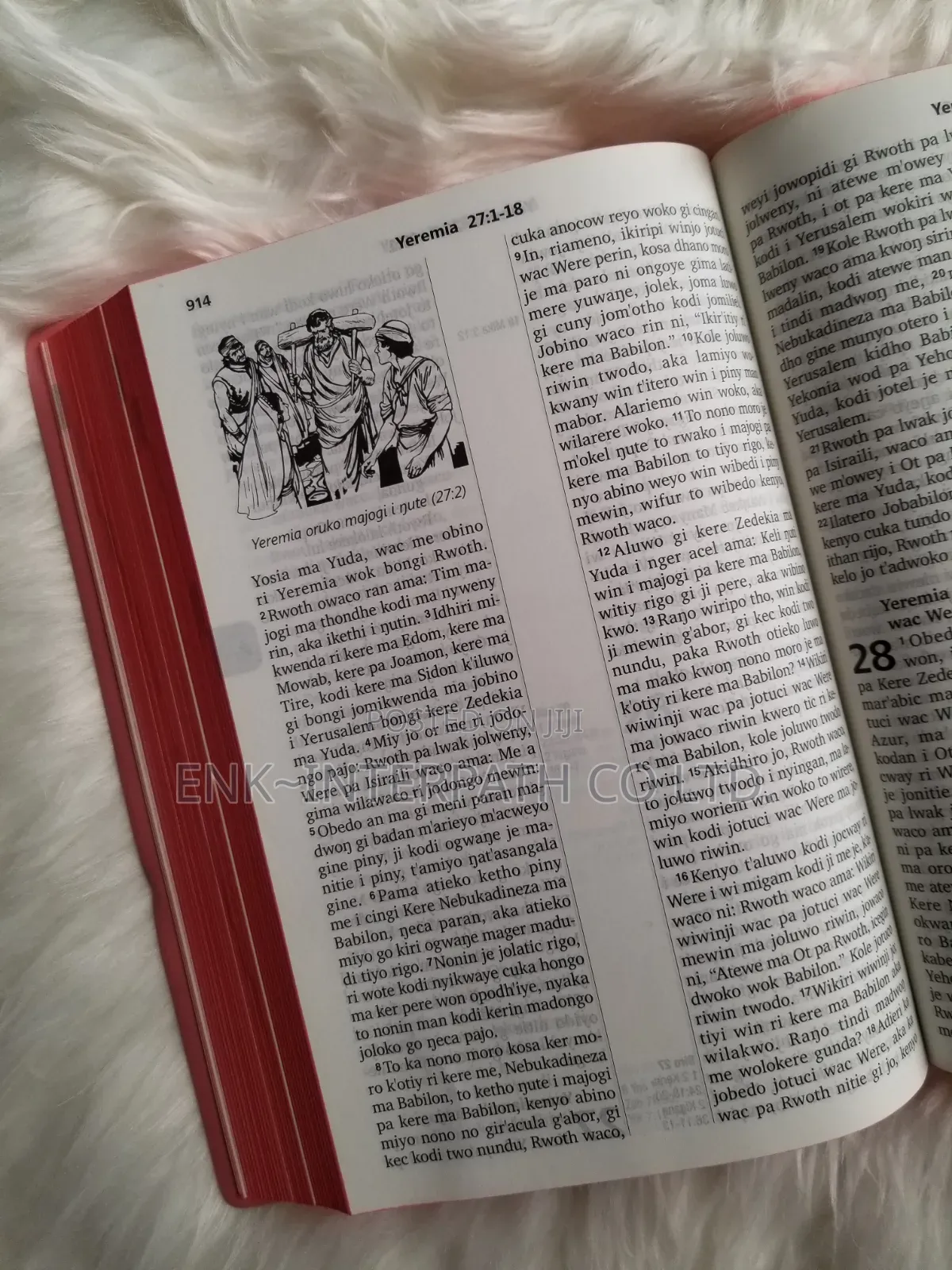 Bible - Dhopadhola Bible