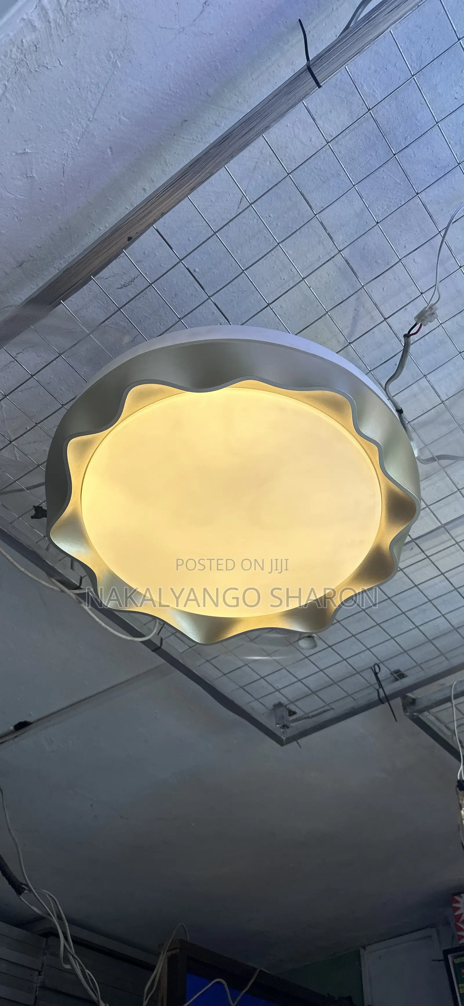 Fan Ceiling Light
