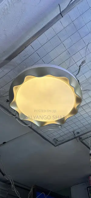 Fan Ceiling Light