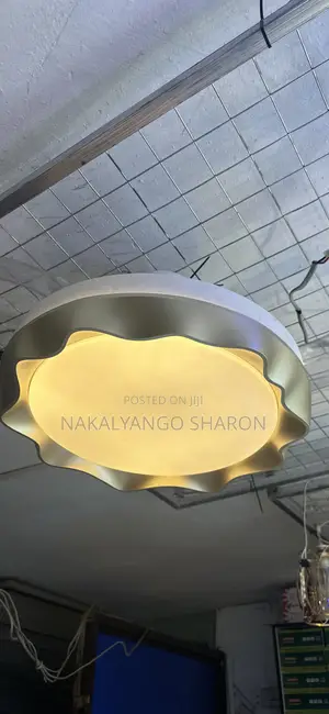 Fan Ceiling Light