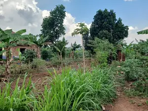 🔥🔥 Quick Sale – 1 Acre of Prime Land for Sale in Nakasajja