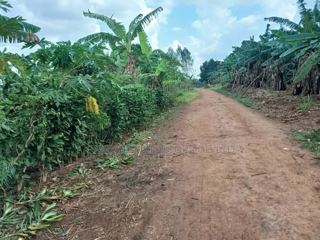 🔥🔥 Quick Sale – 1 Acre of Prime Land for Sale in Nakasajja