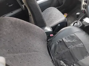 Toyota Vitz 2010 Gray
