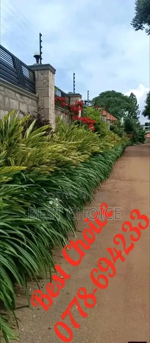 We Design and Build Modern Gardens With Sleek Vibes