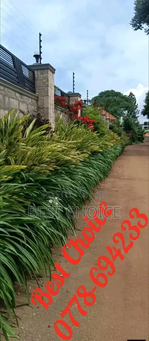 We Design and Build Modern Gardens With Sleek Vibes