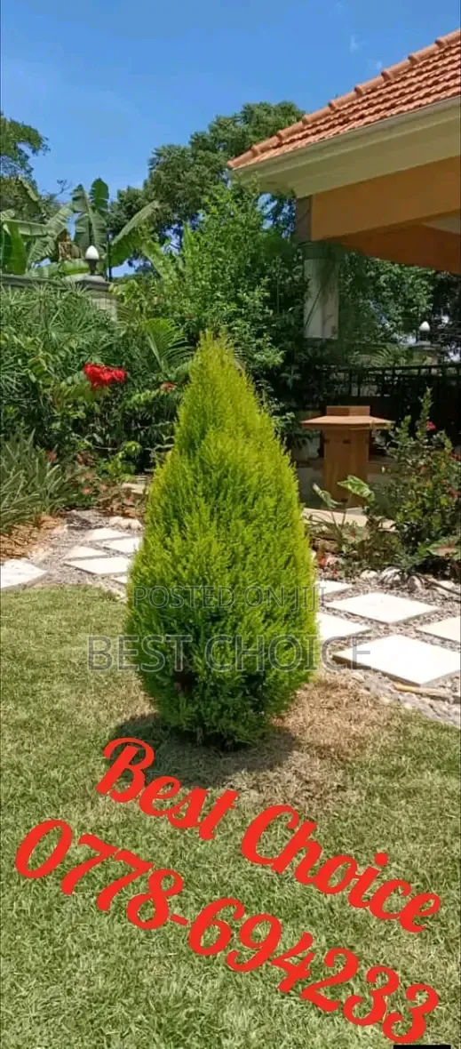 We Design and Build Modern Gardens With Sleek Vibes