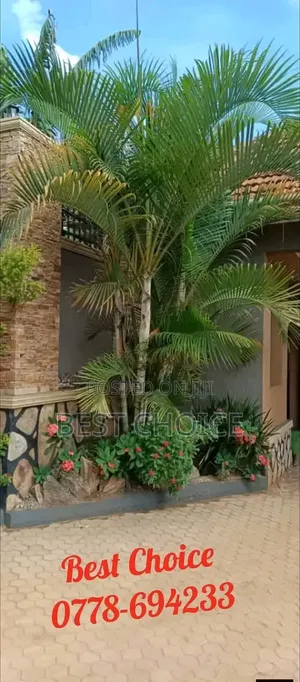 We Design and Build Modern Gardens With Sleek Vibes